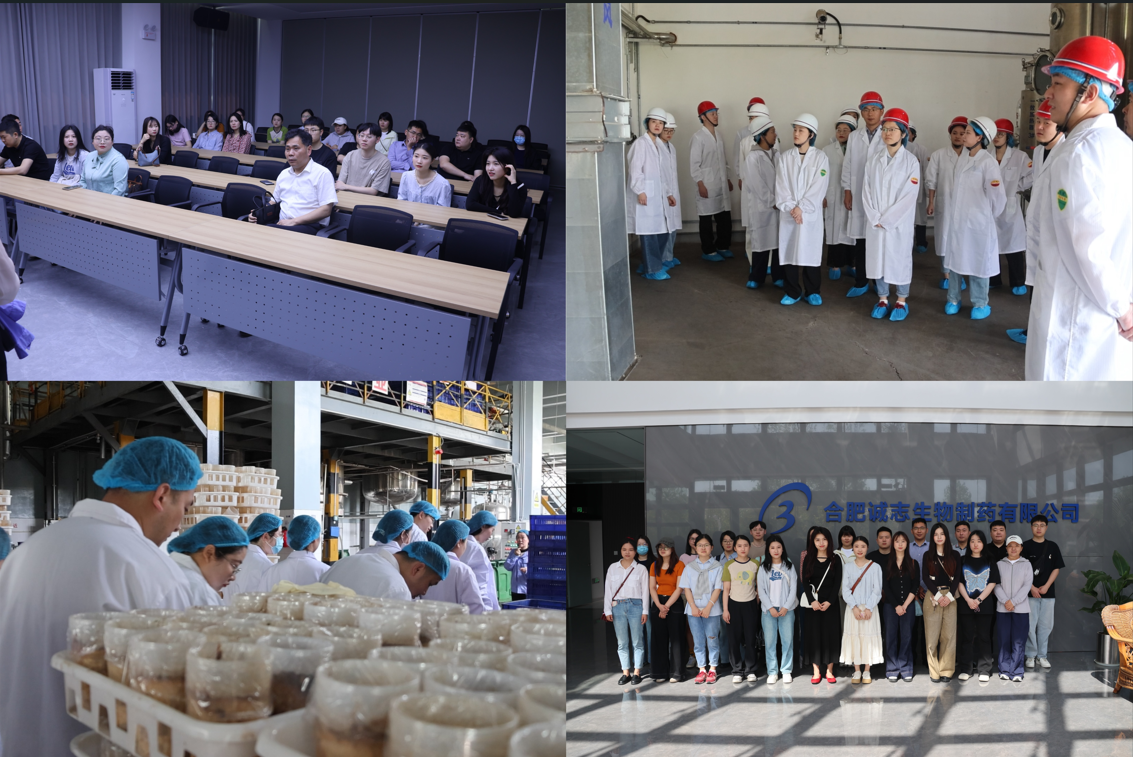 1747124821524043.png 1747124821524043.png